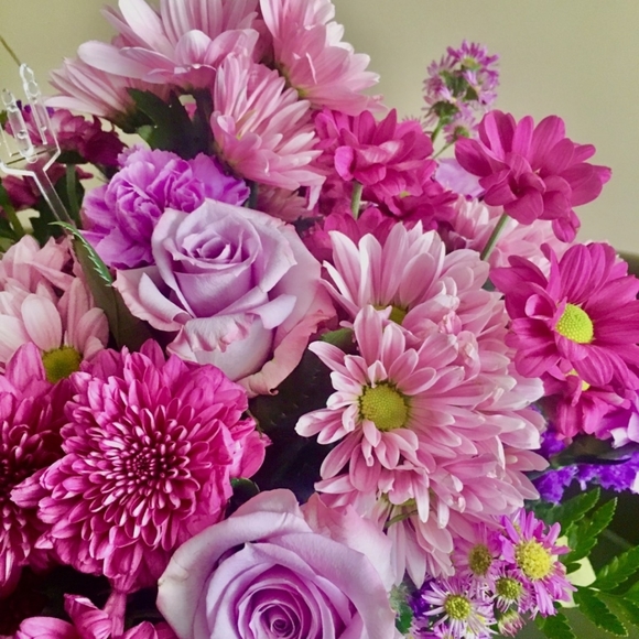 Meet your Posher, Carla - Picture 1 of 1